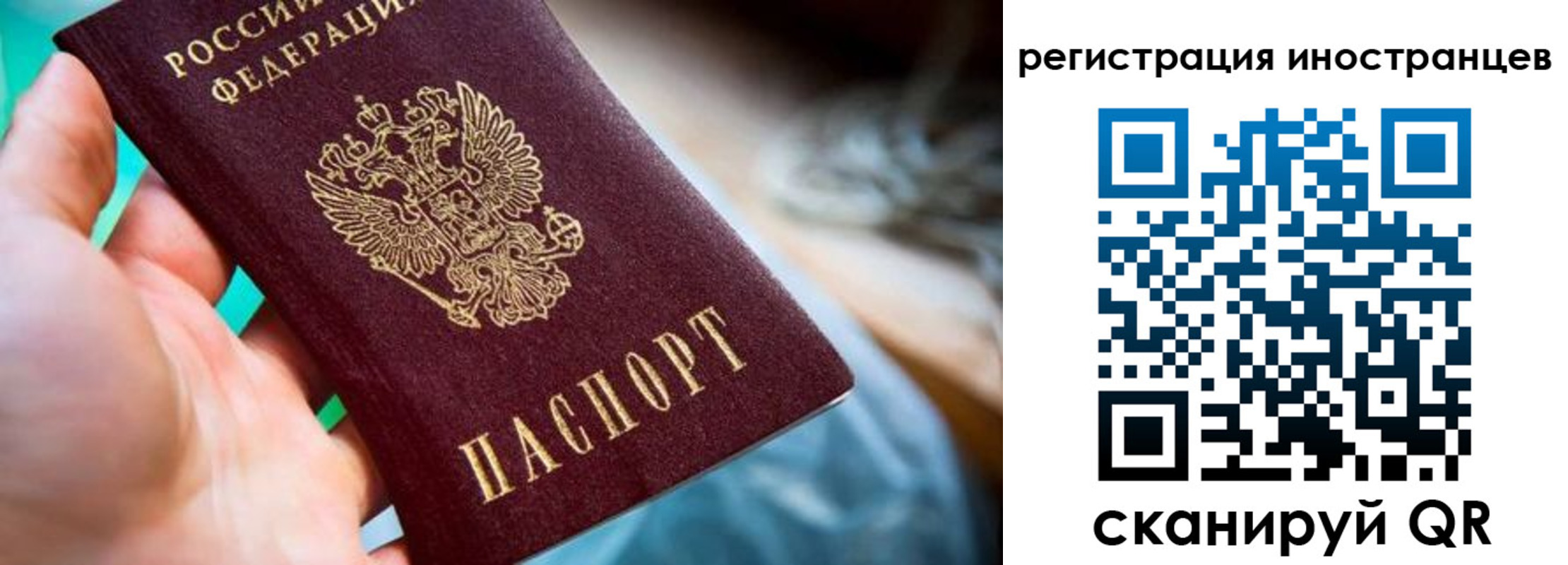 прописка от собственника в Елизово