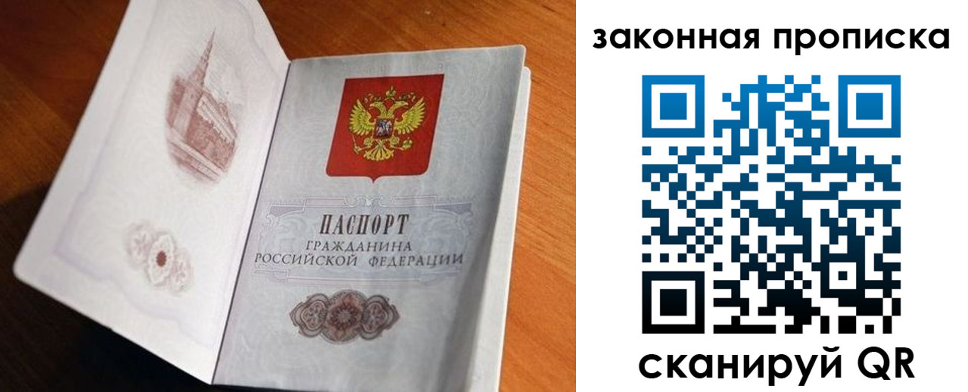 прописка 2025 в Елизово