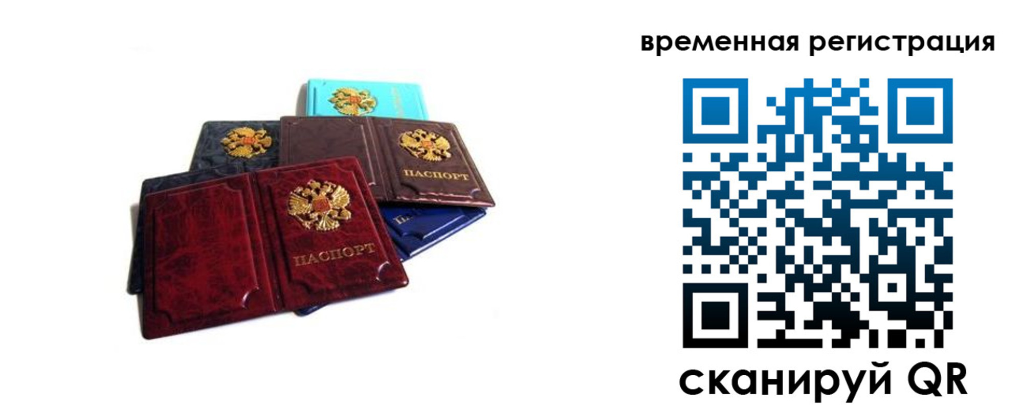 временная прописка в Елизово
